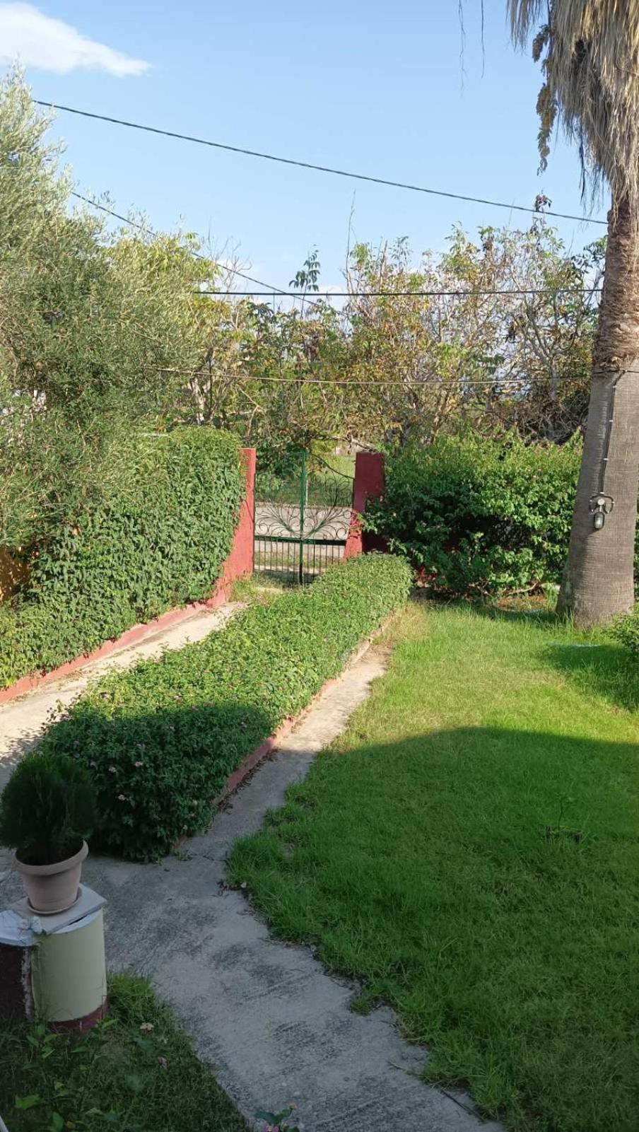 Il Mirto Verde Lefkímmi Eksteriør bilde